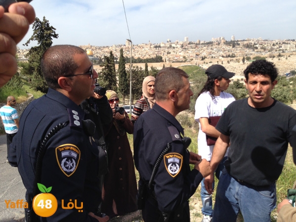 qudszra3aztoon330 (21).JPG